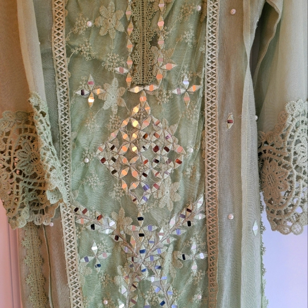 Pakistani Indian Designer Dress - image 1